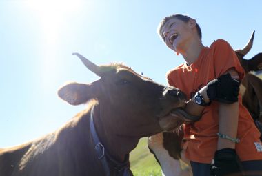 Alpage de la Vieille Alpine pastures