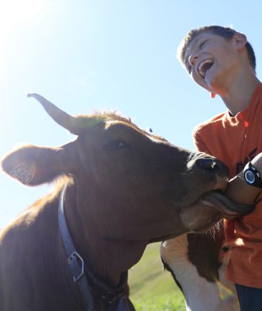 Alpage de la Vieille Alpine pastures