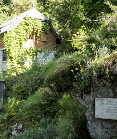 Jaysinia Botanical Garden