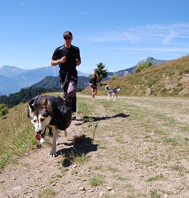 Hiking with My Dog