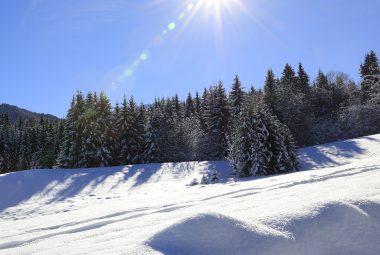 All the winter activities in the Giffre Valley
