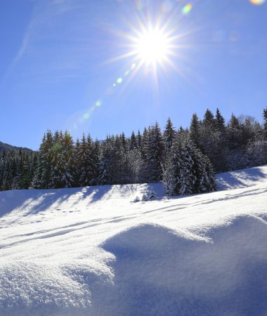 All the winter activities in the Giffre Valley