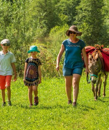 Trekking with Donkeys