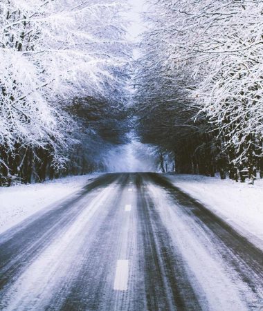 Taxis and passenger transport