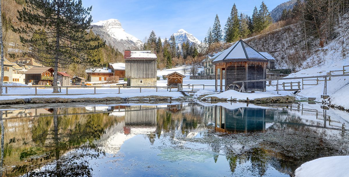 Our culture, our DNA