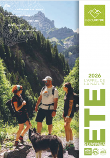 My Summer guide