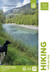 Hiking with my dog