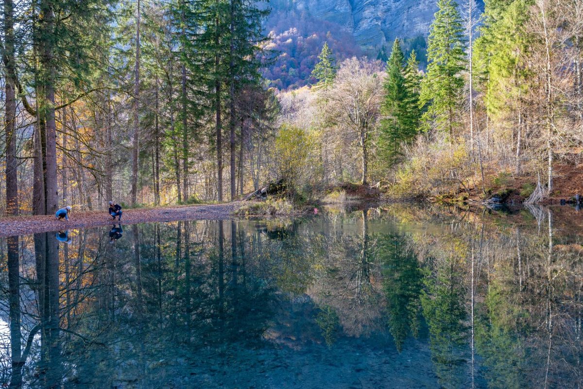Small forest lake reflecting autumn colours in Haut-Giffre