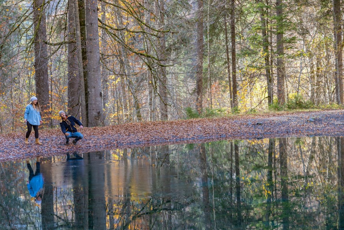 Walk beside a forest lake surrounded by autumn colours in Haut-Giffre