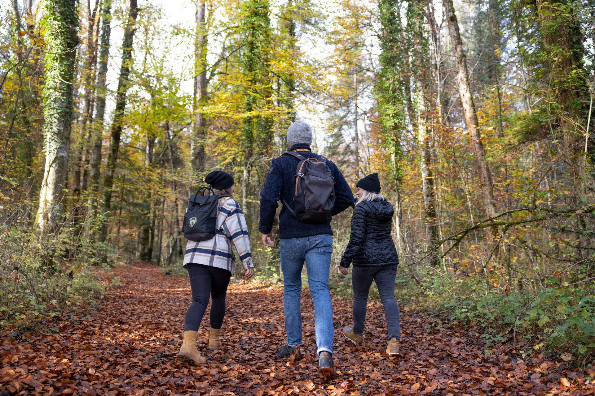 hiking-family-forest-autumn-haut-giffre
