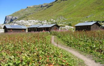 Refuge de Sales