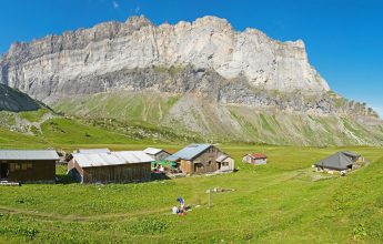 Observations and Exchanges at the Alfred Wills Shelter