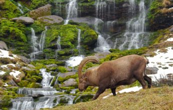 Meet the volounteers of the Natural Reserve