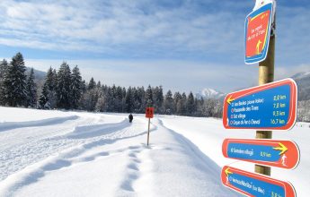 Cross Country Skiing in the Giffre Valley