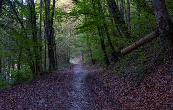 Road from Châtillon-sur-Cluses to Cluses
