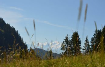 Rando’bus CHALUNE-CHAVASSE – From Praz de Lys