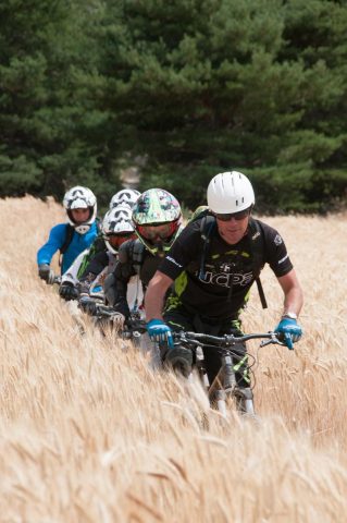 Coaching and Guiding Bike