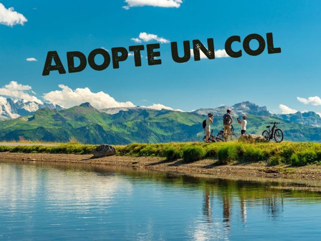 Adopt a collar_Verchaix