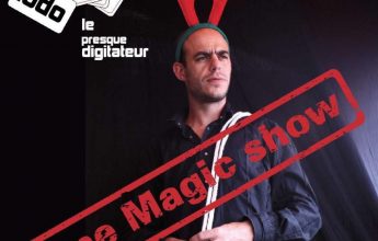 Magic show – Ludo, the almost digitizer