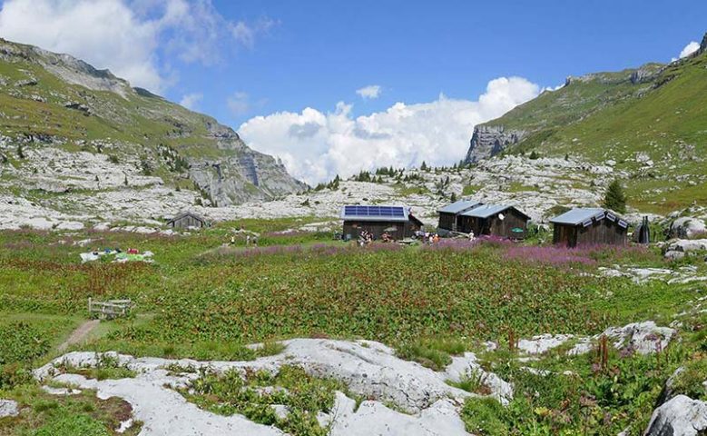 31885408-diaporama