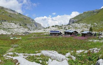 Dictée Ô Refuge