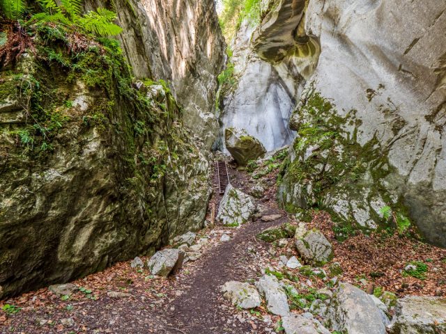 Walking itinerary: rando’bus Les Gorges des Tines