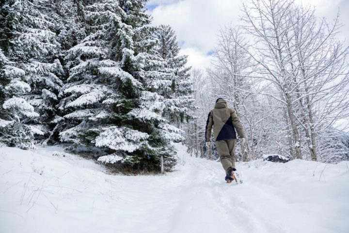 Snowshoeing itinerary : Refuge de Golèse (unmarked)_Samoëns