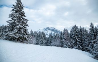 Snowshoeing itinerary Les Allamands