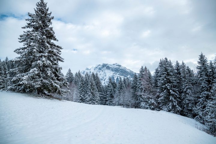 Snowshoeing itinerary Les Allamands_Samoëns