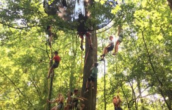 La Fête des possibles : Grimpe d’arbre