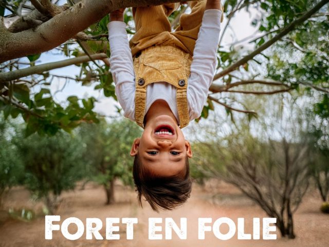 Mad Forest_Morillon