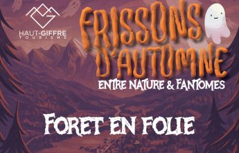 Forest madness