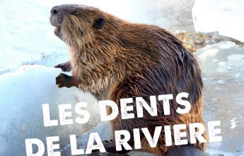 The teeth of the river