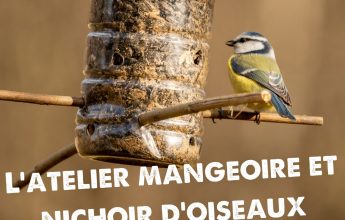 The Bird Feeder Workshop