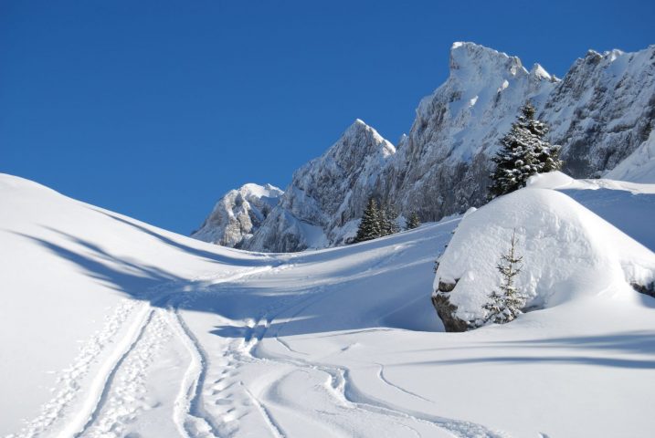 Raid à ski: adventure over several days_Samoëns