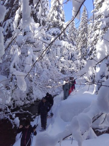 Snowshoeing and picnic day with the chamois_Taninges