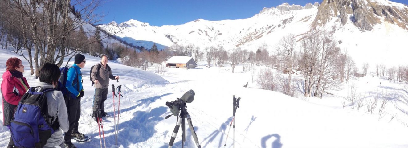 Snowshoeing and picnic day with the chamois_Taninges