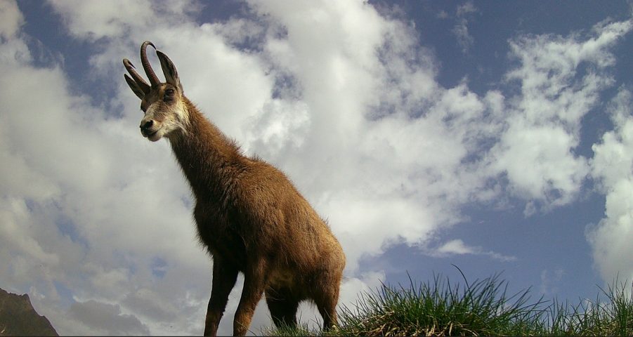 Snowshoeing day with Swiss fondue in a private chalet_Morillon