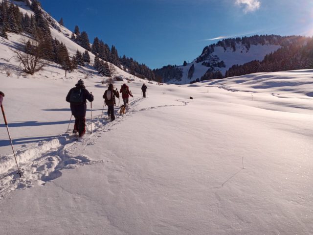 Snowshoeing day with Swiss fondue in a private chalet_Morillon