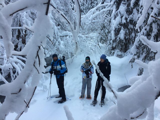 Guided snowshoe hikes: Forest wildlife observation_Taninges