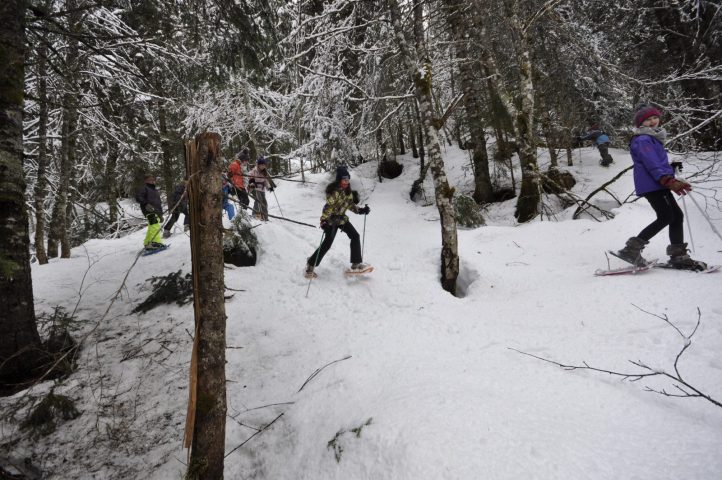 Guided snowshoe hikes: Forest wildlife observation_Taninges