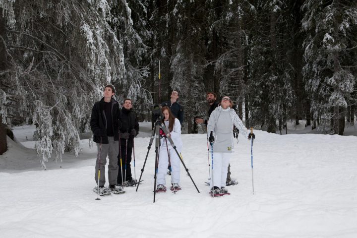 Guided snowshoe hikes: Forest wildlife observation_Taninges