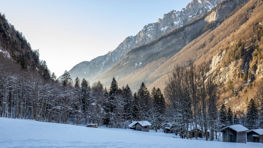 Snowshoe trekking: Ibex observation and nature reserve_Sixt-Fer-à-Cheval