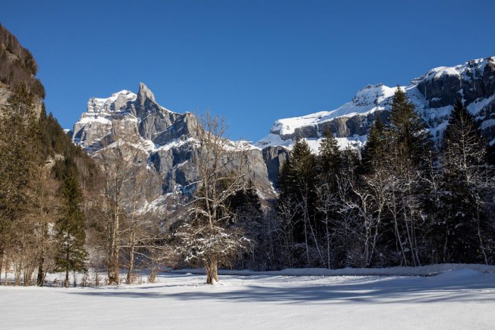 Snowshoe trekking: Ibex observation and nature reserve_Sixt-Fer-à-Cheval