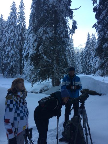 Guided snowshoe hikes: life in the mountains_Sixt-Fer-à-Cheval