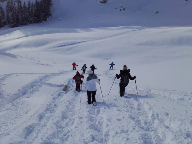 Guided snowshoe hikes: life in the mountains_Sixt-Fer-à-Cheval