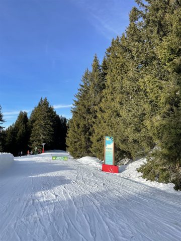 Ze Marvel Safari_Morillon