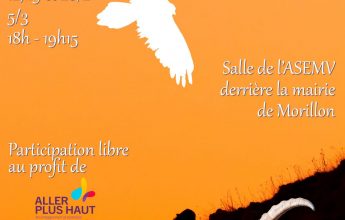 Faune du Giffre & coulisses de la photo animalière