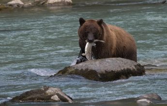 Exposition photo “Voyage aux 4 coins du monde”