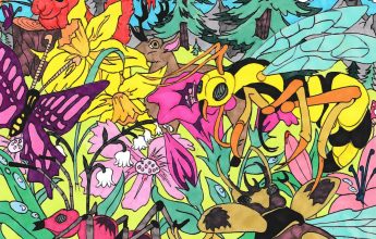 Exposition de dessins de Rémi Nadau